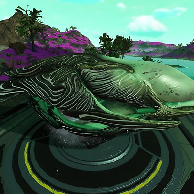 seed image