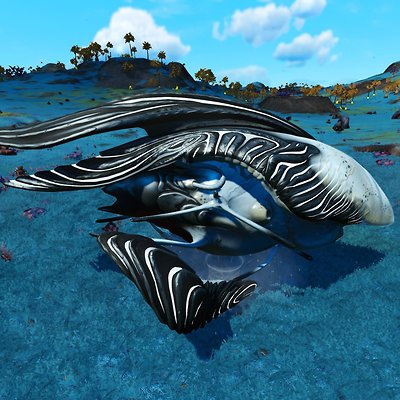 seed image