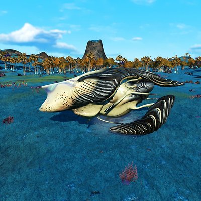 seed image