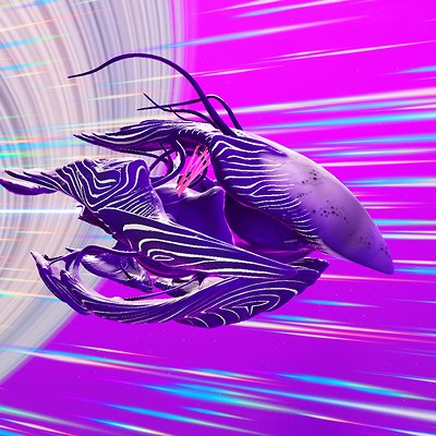 seed image