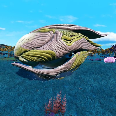 seed image