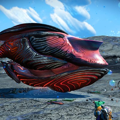 seed image