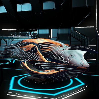 seed image