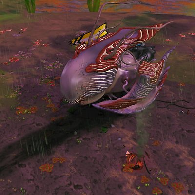 seed image