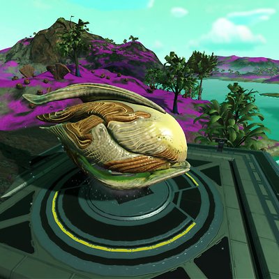 seed image