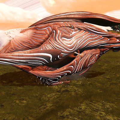 seed image