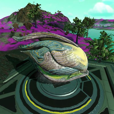 seed image