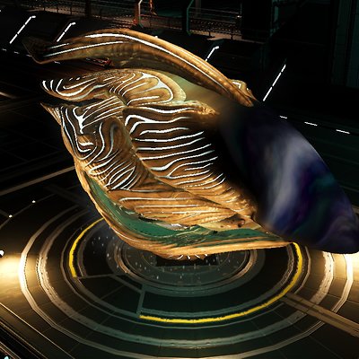 seed image