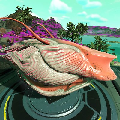 seed image