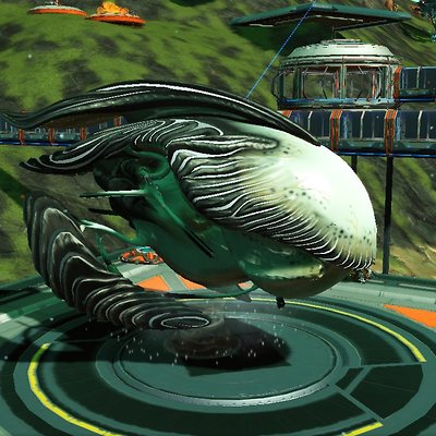 seed image