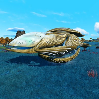 seed image