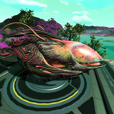 seed image