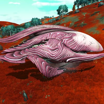 seed image