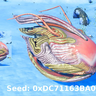 seed image